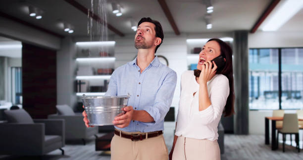 Best Residential water damage restoration  in Wolcott, IN